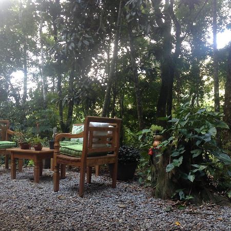 Entre Arvores Refugio Lumiar Esterno foto